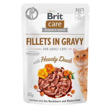 Brit Care Cat Fillets in Gravy with Hearty Duck 85g (Menge: 24 je Bestelleinheit)