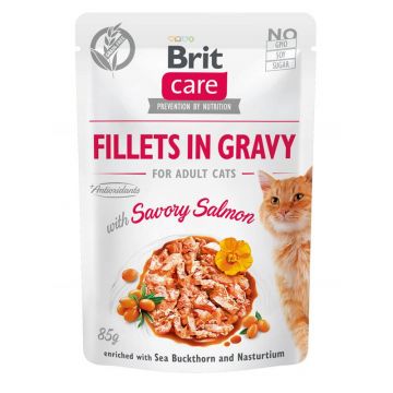 Brit Care Cat Fillets in Gravy with Savory Salmon 85g (Menge: 24 je Bestelleinheit)