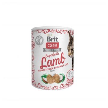 Brit Care Cat Snack Superfruits Lamb 100 g Brit Care Cat Snack Superfruits Lamb 100 g