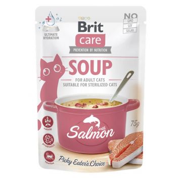 Brit Care Cat Soup with Salmon 75g (Menge: 15 je Bestelleinheit) Brit Care Cat Soup with Salmon 75g (Menge: 15 je Bestelleinheit)
