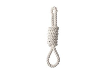 Quapas Dog Toy Rope String Natural XL 60 cm