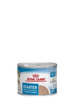 Royal Canin Dose Starter Mother & Babydog 195g (Menge: 12 je Bestelleinheit) Royal Canin Dose Starter Mother & Babydog 195g (Menge: 12 je Bestelleinheit)