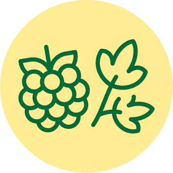 Kräuter & Früchte