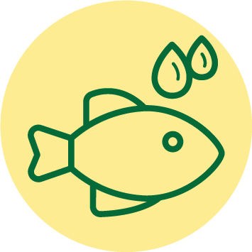 Omega 3