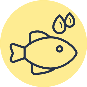 Omega 3