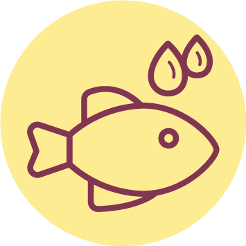 Omega 3