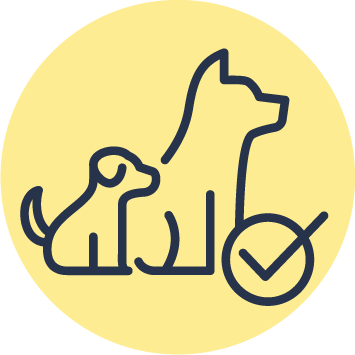 Optimale Entwicklung