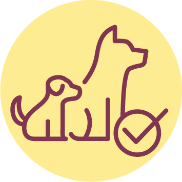 Optimale Entwicklung