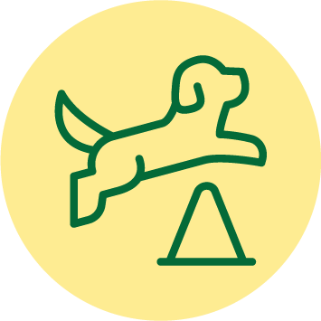 Leistung