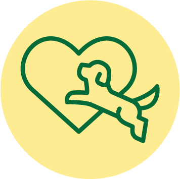 Vital Plus